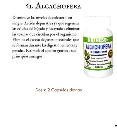 ALCACHOFERA ORGÁNICA