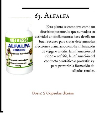 ALFALFA