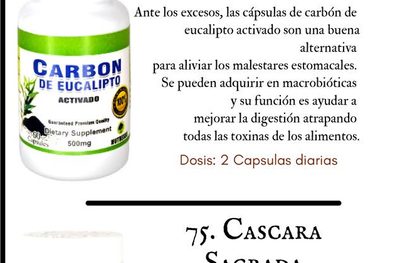 CARBÓN DE EUCALIPTO (ACTIVADO)